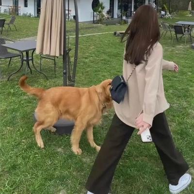 那天之后